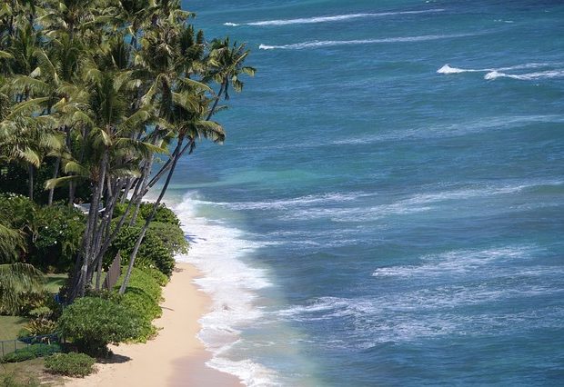 real honeymoon in Hawaii and New York