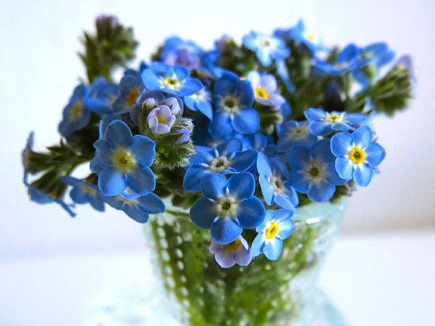 forget-me-not-centrepiece