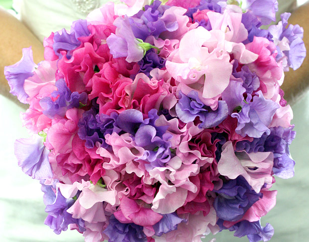 sweetpea-bridal-bouquet