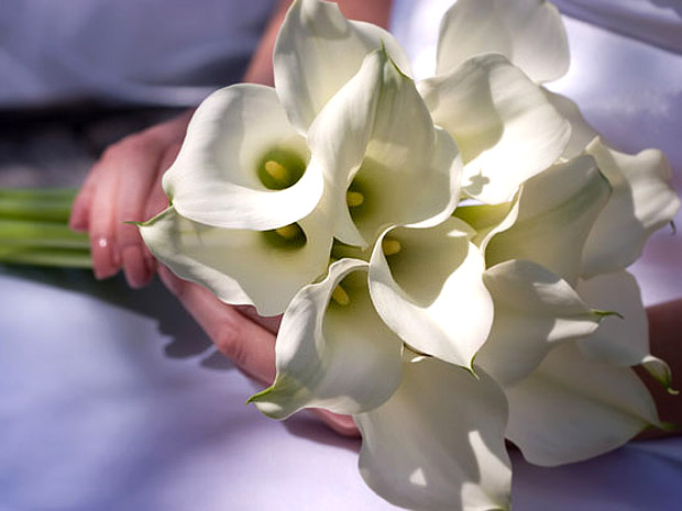 zantedeschia-lily-bouquet