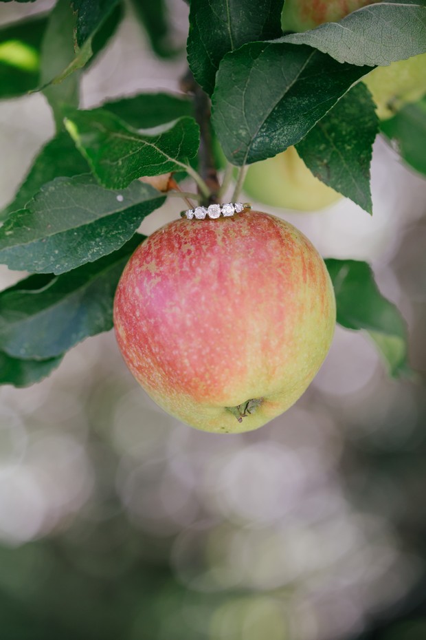 Engagement ring photo apple tree