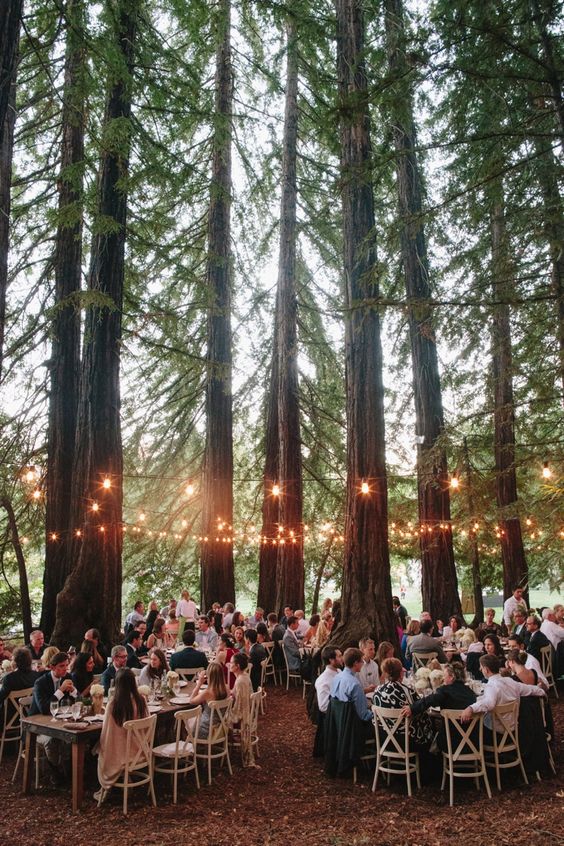forest-theme-wedding-reception-tables-decor