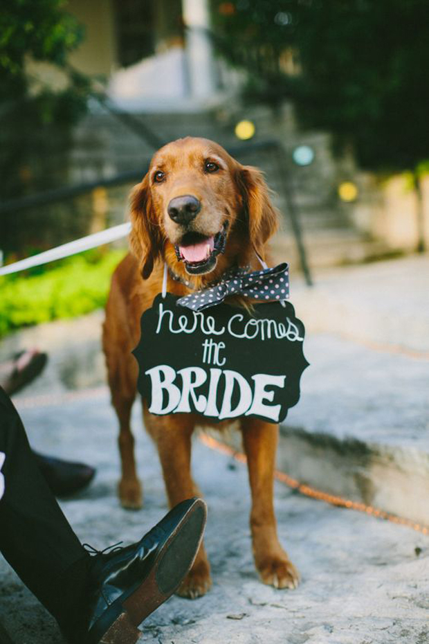 here-comes-the-bride-sign