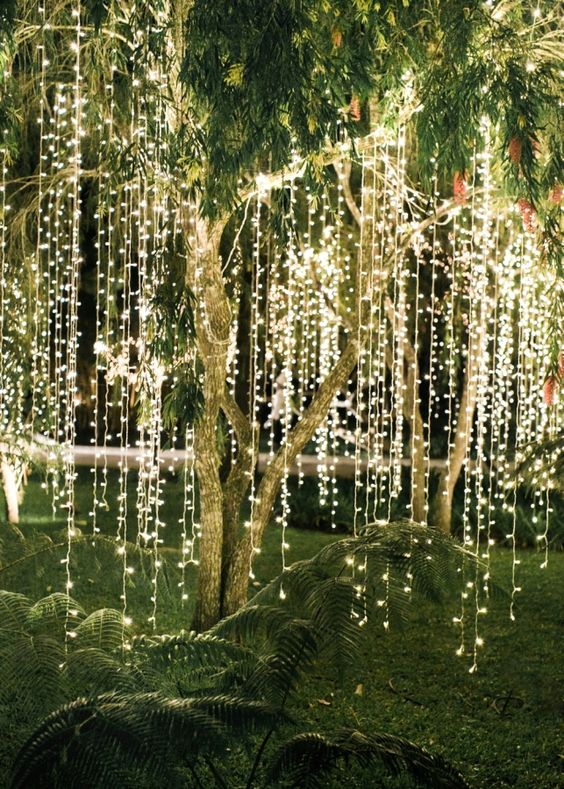 magical-strip-lighting-tree-wedding-ceremony-outdoor