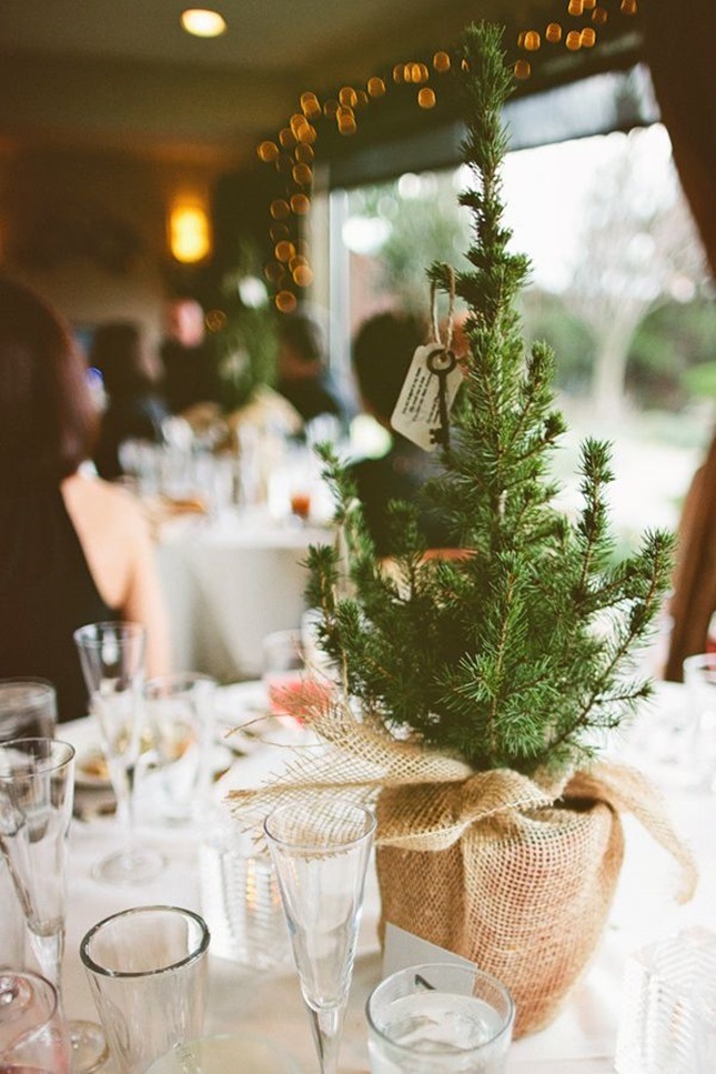 Mini-Pine-Tree-wishing-tree-christmas-wedding-ideas