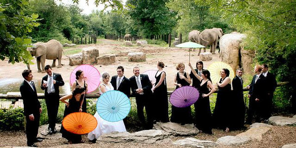 Weddings at a Zoo
