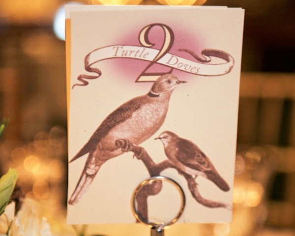 bird theme table numbers
