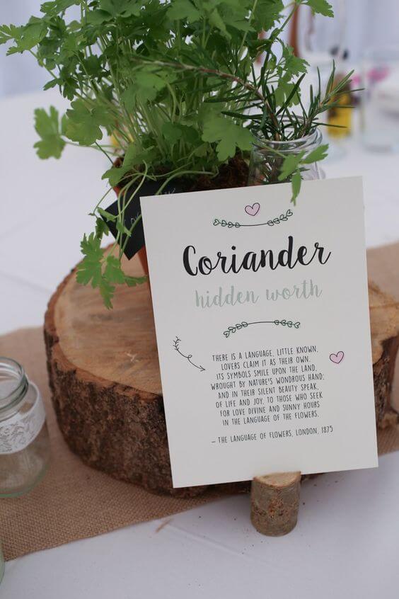 Wedding-table-name-ideas-herbs-coriandor-chef-gardener