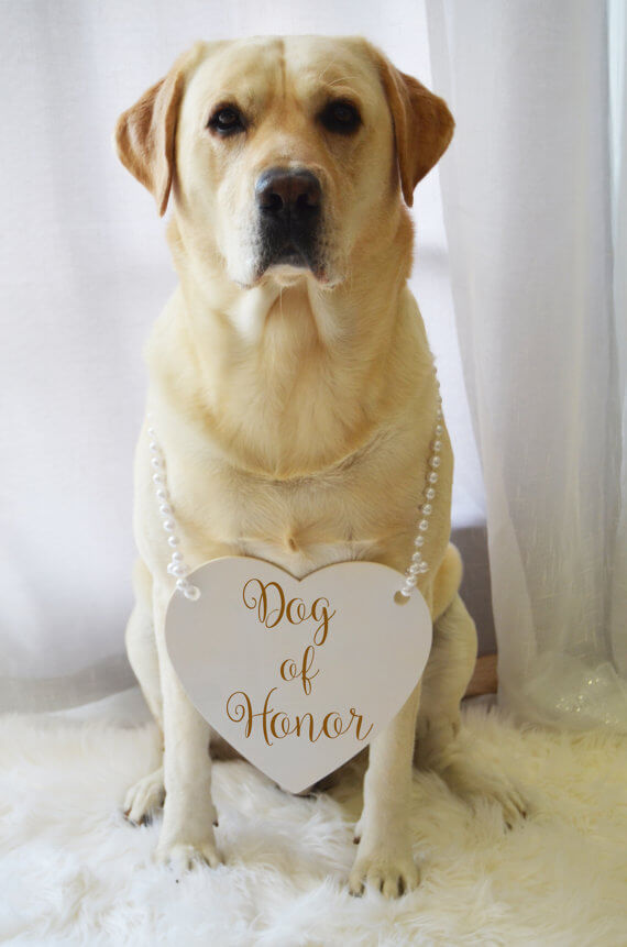 dog-of-honor-pets-at-weddings-etsy