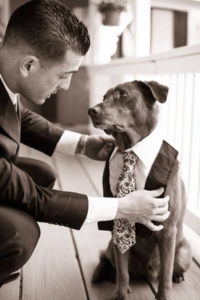 dressing-dog-clothes-wedding-suit