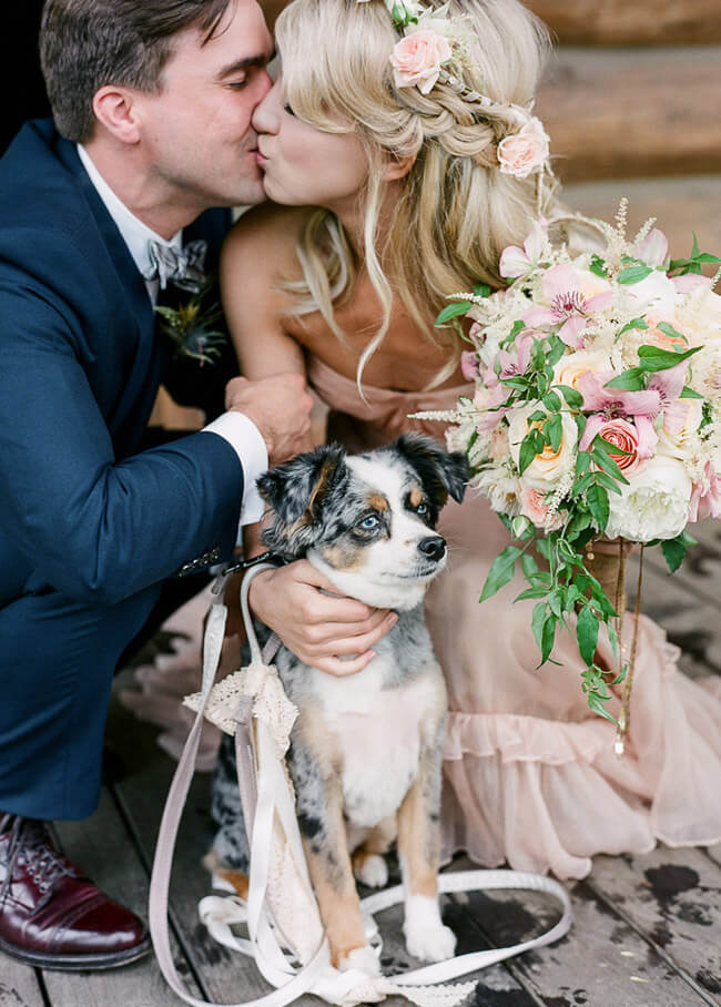 family-portrait-dog-wedding
