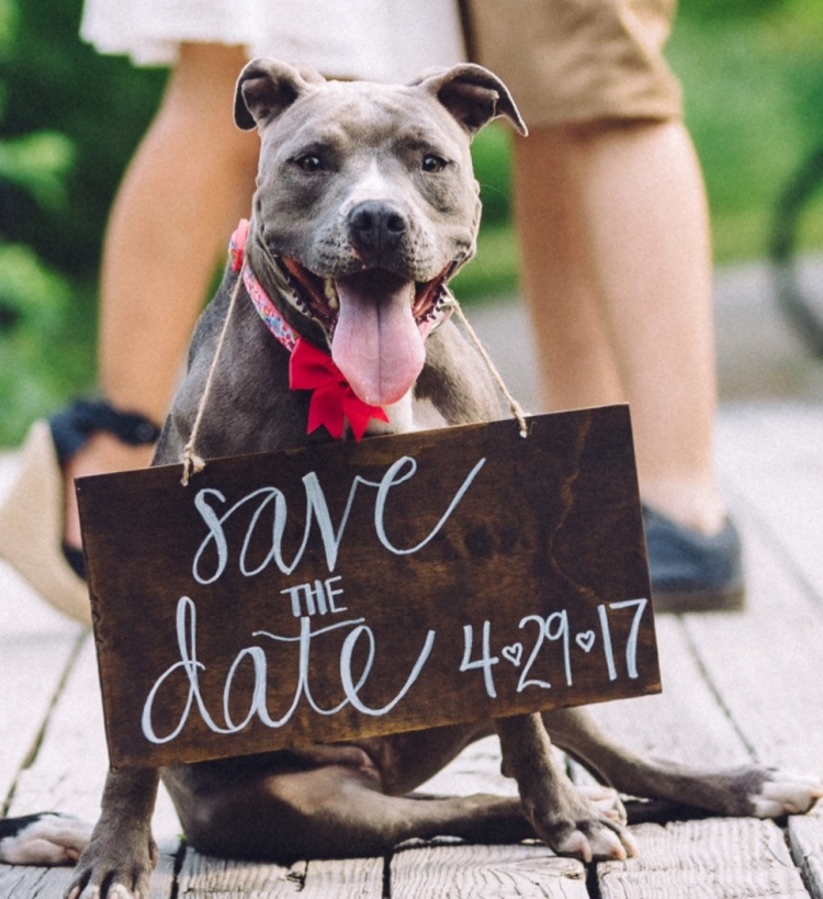 save-the-date-couple-dog-wedding-photo-etsy