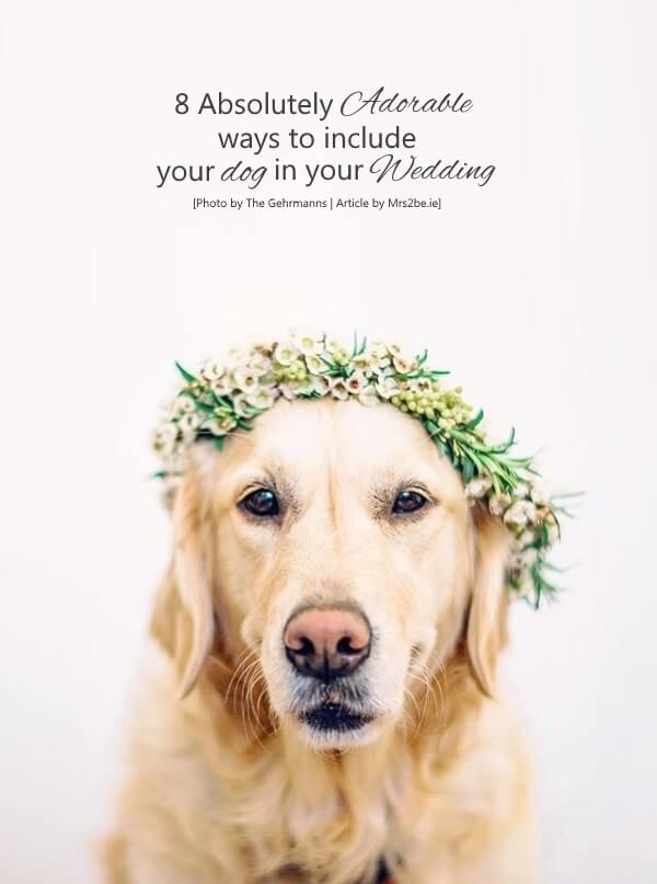 wedding-dog-flower-crown-boho-labrador-main2
