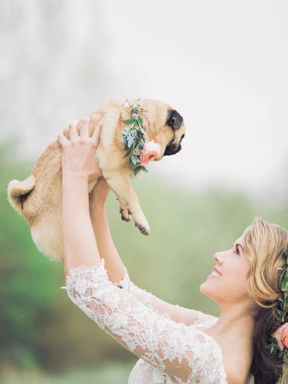 pets at weddings 